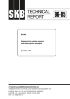 SR 95. Template for safety reports with descriptive example