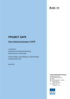 Project SAFE. Gas related processes in SFR