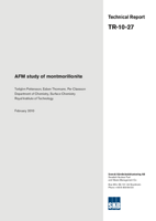 AFM study of montmorillonite
