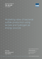 Modelling rates of bacterial sulfide production using lactate and hydrogen as energy sources