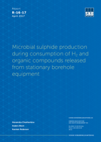 Microbial sulphide production during consumption of H2 and organic compounds released from stationary borehole equipment