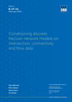Conditioning discrete fracture network models on intersection, connectivity and flow data