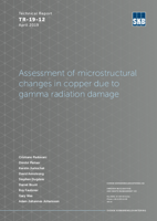 Assessment of microstructural changes in copper due to gamma radiation damage