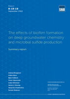 The effects of biofilm formation on deep groundwater chemistry and microbial sulfide production. Summary report