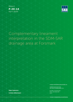Complementary lineament interpretation in the SDM-SAR drainage area at Forsmark