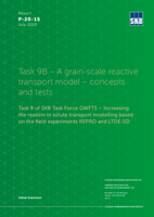 Task 9B - A grain-scale reactive transport model - concepts and tests. Task 9 of SKB Task Force GWFTS - Increasing the realism in solute transport modelling based on the field experiments REPRO and LTDE-SD