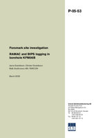 Forsmark site investigation. RAMAC and BIPS logging in borehole KFM06B