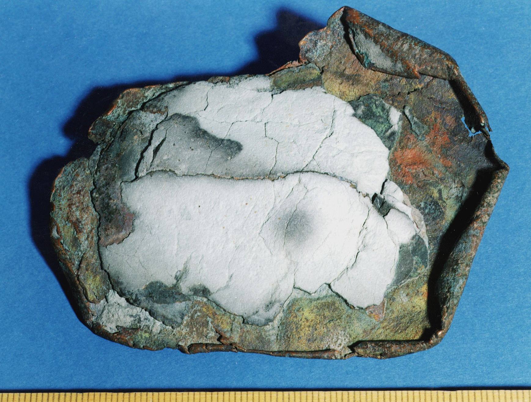 Kopparplåt som legat begravd i lersten i mer än 175 miljoner år. 